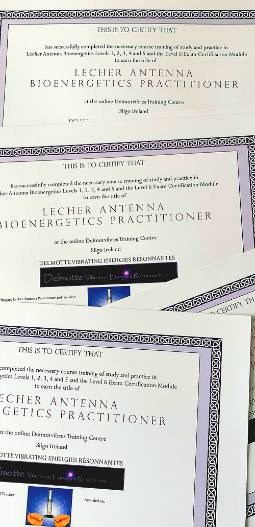 Become a Lecher Antenna Bioenergitcs Practitioner