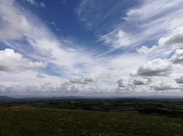 Lecher Antenna Bioenergetics Level 6 - Bioenergetics Practitioner Status Certification Module inclusive of LIVE 1 ON 1 MENTORING  - PLEASE CONTACT INSTRUCTOR FOR ELIGIBILITY