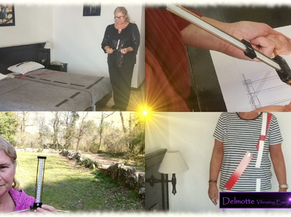 GEO GOLD: "Lecher Antenna Geo(home)biology Feel Fantastic Program" Levels 1,2,3 and 4 at 73% discount + PERSONAL MENTORING + get FREE starter's online course