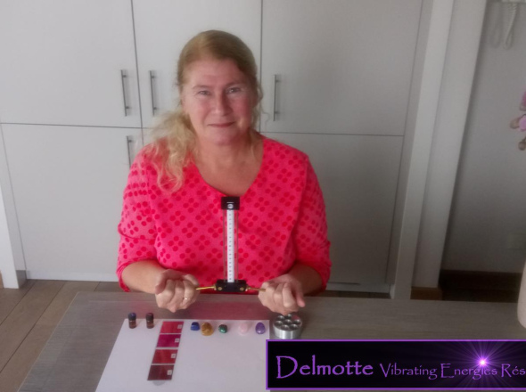 BIO REMEDIES SILVER Lecher Antenna Bioenergetics Bioresonance Harmonic Remedies Levels 1,2,3 and 4 + PERSONAL LIVE MENTORING + GET FREE Lecher Antenna starter's course